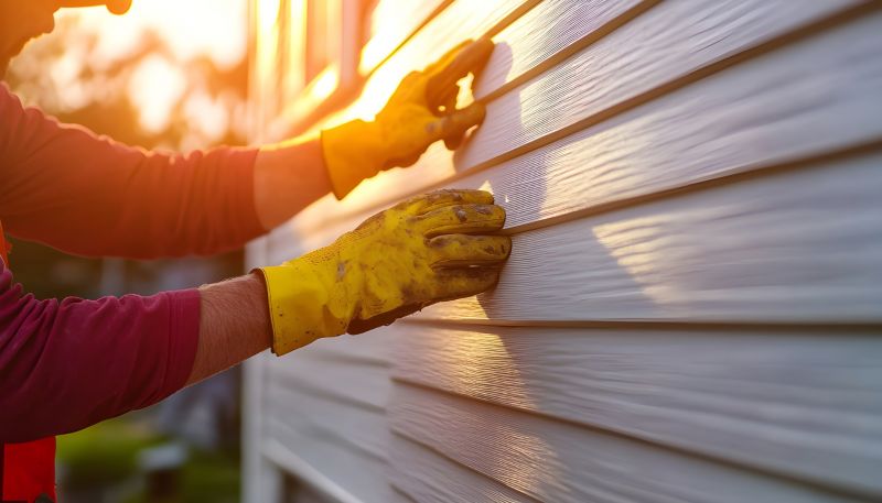 Professional Siding Team